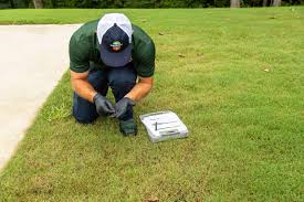 How to Reduce Turf Diseases in Your North Mississippi Lawn