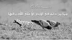 desertrose الله خير الرازقين