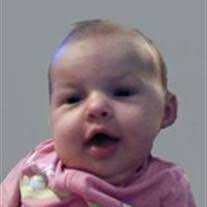 Joshua Lux's Instagram, Twitter & Facebook