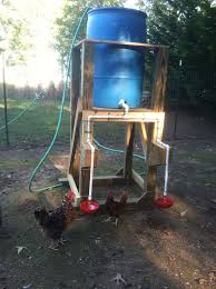 Check spelling or type a new query. Automatic Chicken Waterer My Hubs Made For Me Chicken Waterer Automatic Chicken Waterer Urban Chicken Farming