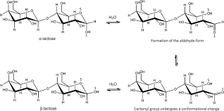 Anomère — un anomère est une configuration particulière que l on retrouve dans la chimie des sucres (formes cycliques de sucres, diastéréo isomères de hétéroside), des hémiacétals cycliques ou bien. Variability In The A And B Anomer Content Of Commercially Available Lactose Sciencedirect