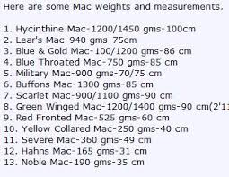Macaw Weights And Lengths Chart Page 2 Parrot Forum