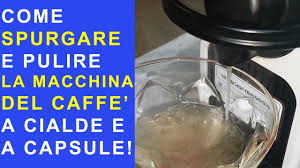 We did not find results for: Come Spurgare Decalcificare E Pulire La Macchina Del Caffe A Cialde E A Capsule Nespresso Etc Youtube