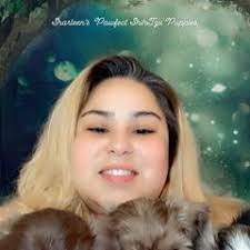 25 cute Shih Tzu puppies for sale in Port Charlotte, Florida