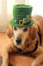 Crochet Pattern Leprechaun Hat For M L Breed Dogs St Etsy Crochet Patterns Crochet Dog Hat Leprechaun