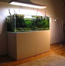 Pin By Indranainggolanbatuara On Akuarium Aquarium Stand Aquarium Fish Tank