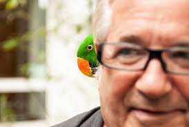 Andy Stutz — Benjamin Rauber