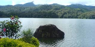 Taman labirin dikelilingi oleh tanaman tinggi yang menjadi tembok pembatasnya. Lokasi Dan Harga Tiket Masuk Wisata Taman Labirin Bandung