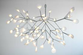 Image result for Heracleum