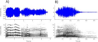 Midland college offers $500+ grant stipends to fall semester students. The Emotional Canvas Of Human Screams Patterns And Acoustic Cues In The Perceptual Categorization Of A Basic Call Type Peerj