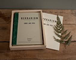 Ihr könnt die herbarium vorlage kostenlos herunterladen. Herbarium Deckblatt