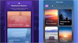 Mental health software is not actually a type of software, but rather it refers to a number of different software systems that are related to and specialized for behavioral health professionals. World Mental Health Day 2020 5 Best Meditation Apps You Can Try Technology News The Indian Express