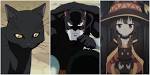 BLACK CAT