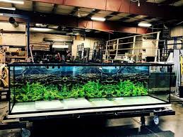 Are the highest quality backgrounds available. Aquarium Backgrounds Custom Aquariums
