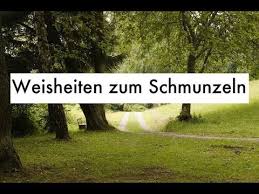 Witzige Zitate Lustige Spruche Weisheiten Zum Schmunzeln Youtube