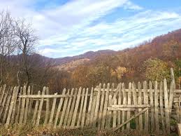 Focsani, nr 1, jud buzau. 6 Locuri Frumoase De Vizitat In JudeÈ›ul BuzÄƒu Cu Copiii