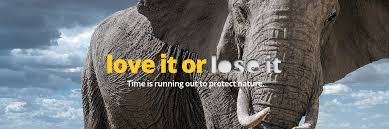 References in periodicals archive ? World Wildlife Fund Linkedin