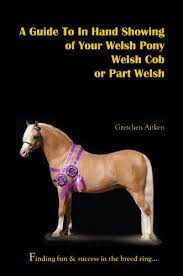 Læs charlotte jensens artikel fra 2006 om navngivning af føl her. A Guide To In Hand Showing Of Your Welsh Pony Welsh Cob Or Part Welsh English Edition Ebook Aitken Gretchen Amazon De Kindle Shop