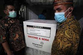 We produce vaccine candidates to efficiently and effectively respond to both known and emerging novavax scientists accelerate the development of new and promising vaccines by building on years. Sinovac S Covid Vaccine Approved By Indonesia For Emergency Use Bloomberg