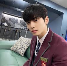In 2016, when he was 19, he officially made his debut as an idol with the group astro. Cha Eun Woo Lip Wounds Are Also Shining Cg Class Ratio Of Man Tore Tore Finish King