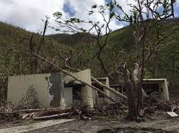 Trivago.com has been visited by 100k+ users in the past month Cinnamon Bay Campground To Open For Primitive Camping Soon St Thomas Source