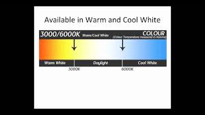 Philips, 4.3w, 40°, 4000k, dimmable, more. Philips Master Ledspot Mv Gu10 Led Lamps Wholesale Led Lights Youtube