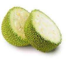 Unripened jackfruit is more mild and starchy, making it a great candidate to be marinated and then braised. Jackfruit Young Unripe For Vegan Recipes Jurassic Fruit