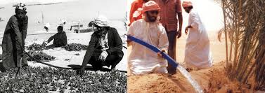 اليات منوعة في الامارات للمزادات. Ø§Ù„Ø²Ø±Ø§Ø¹Ø© ÙÙŠ Ø§Ù„Ø¥Ù…Ø§Ø±Ø§Øª Ù‚Ø¯ÙŠÙ…Ø§