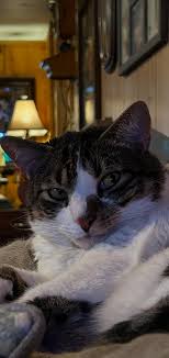 He's not as upset as he looks