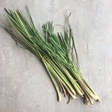 Cymbopogon, also known as lemongrass, barbed wire grass, silky heads, cochin grass, malabar grass, oily heads or fever grass, is a genus of asian, african, australian. How To Use Lemongrass In Diy Skincare Little Green Dot