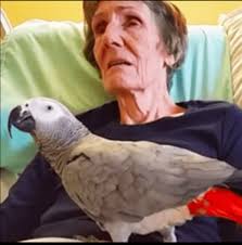 Dying woman says final goodbye to her parrot: The bird's instant reaction  leaves me in tears 💔😢 http://bit.ly/3yVJd83