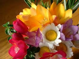 To celebrate spring and motivate our readers to get out there and get your hands dirty; Funny Flower Quotes And Sayings To Include With A Bouquet Holidappy