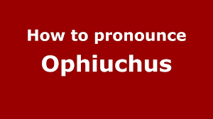 All you babies born between november 29 and december 17 are understandably going through identity crises this week, as ophiuchus, the 13th zodiac sign that nasa brought up back in 2011, hits the. Ophiuchus Definition Pronunciation