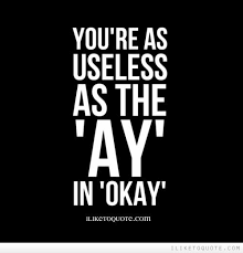You Re As Useless As The Ay In Okay Funny Quotes Funny Picture Quotes Quotes