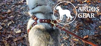 Yiotl dog agility equipment set, 30 pcs outdoor dog obstacle training course kit, including frisbee, pause box, 2 tunnel, adjustable hurdles, 8 weave poles, whistle, carrying bag. Argos Dog Gear Home Facebook