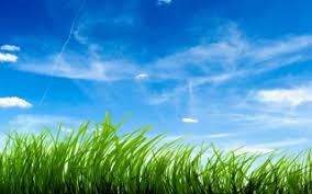 green grass wallpaper wallpapers for free download about 3 109 wallpapers green grass wallpaper wallpapers for