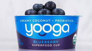 So what should you look out for specifically? Vegan Brand Debuts Dairy Free Yogurt At Walmart