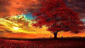 Anime Original Tree Fall Leaf Sun Peace Cloud Wallpaper Anime Scenery Anime Scenery Wallpaper Anime Backgrounds Wallpapers
