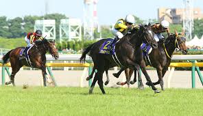 24:00 プロ馬券師集団『桜花』の競馬予想ちゃんねる 13 153 просмотра. ã‚ªãƒ¼ã‚¯ã‚¹2018äºˆæƒ³å±•æœ› è¡€çµ±ã¨å‚è€ƒãƒ¬ãƒ¼ã‚¹ã‹ã‚‰è€ƒå¯Ÿ