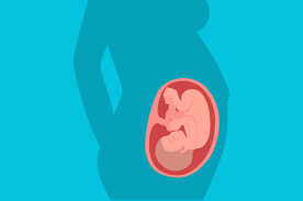 Tingkat hormon di darah mencapai titik maksimal, ini yang menyebabkan morning sickness, mual, muntah, dan rasa. Perkembangan Janin Usia 32 Minggu