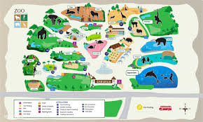 Illustration Of Zoo Park Map Free Image By Rawpixel Com Zoo Map Zoo Zoo Park