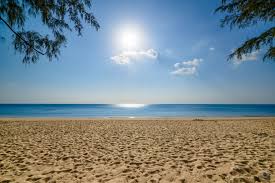 Maybe you would like to learn more about one of these? Beach Background High Quality Free Backgrounds