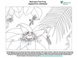 Check spelling or type a new query. Red Eyed Tree Frog Coloring Page Rainforest Alliance