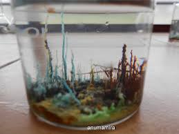 10 percobaan sains sederhana dan menarik terbaik saat ini. Eksperimen Kimia Dan Fisika Yang Sangat Sederhana Fiona Amanda