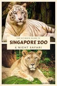 The Ultimate Guide To Singapore Zoo River Safari Night Safari Singapore Zoo Singapore Travel Singapore Travel Tips