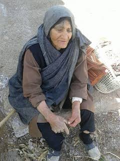 پیرزن چشم ما بود