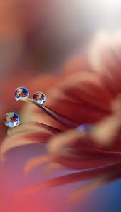 35 Best Iphone Screen Lock Wallpaper Funmary Beautiful Flowers Wallpapers Beautiful Wallpapers Backgrounds Locked Wallpaper