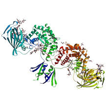 Rcsb Pdb 6i01 Structure Of Human D Glucuronyl C5