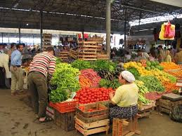 Bodrum Gumbet Tanitimi Yerler Turkiye