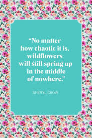 And if y'all have any more fine southern sayings, well, bless yer pea pickin' hearts, just let 'er rip, tater chip, and jot them down in the comments section below. 35 Inspirational Flower Quotes Best Quotes About Flowers